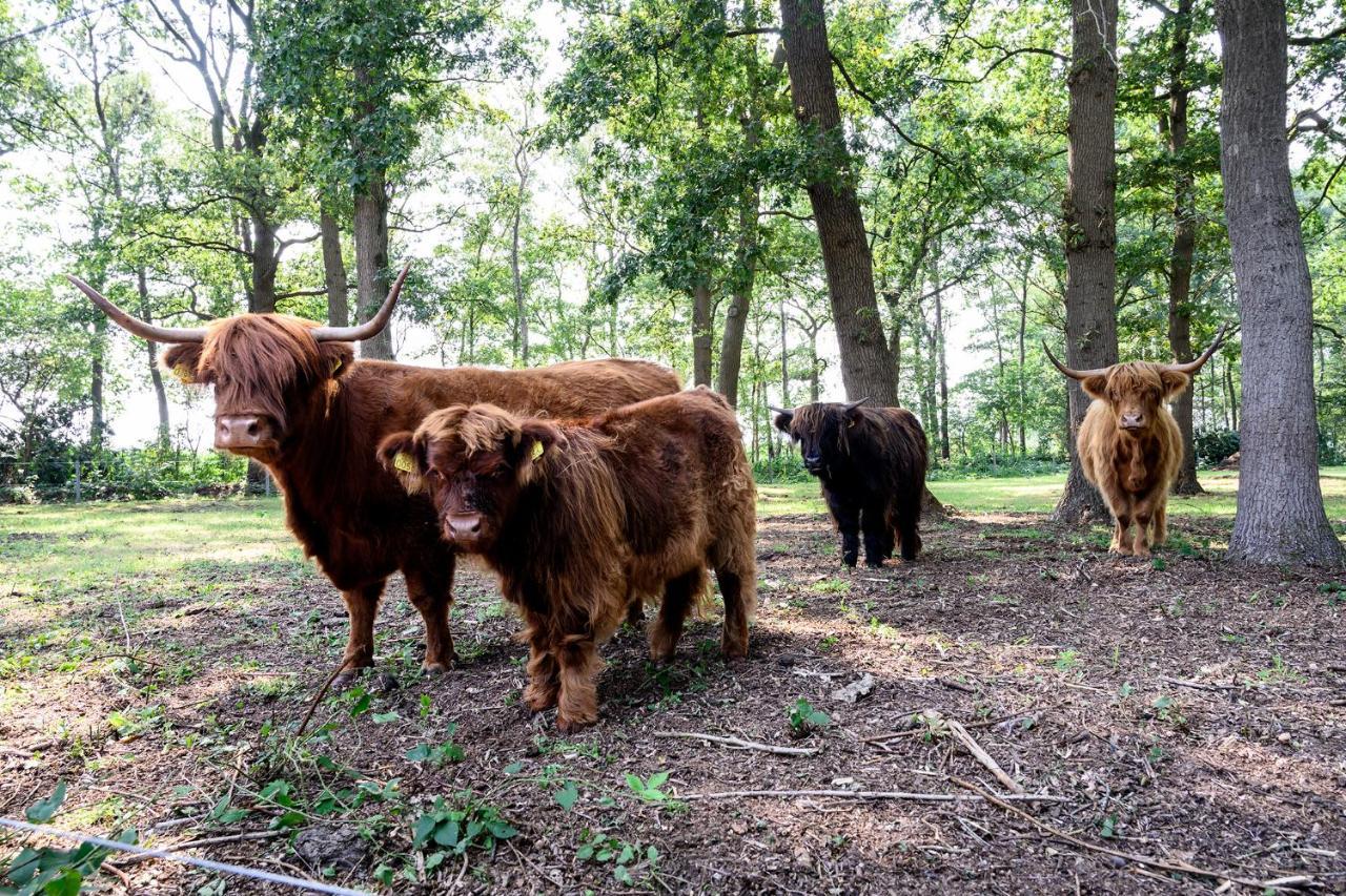 Hotel Glamping Renswoude Exteriér fotografie
